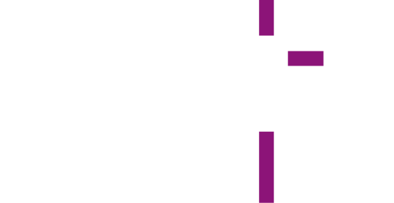 Weise logo in weiss